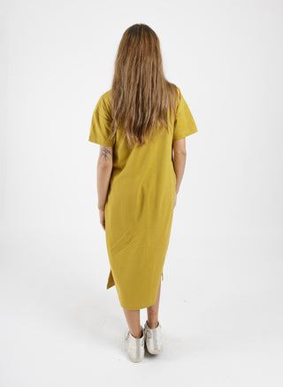 Bebe Dress - Scratched