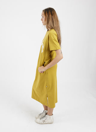 Bebe Dress - Scratched