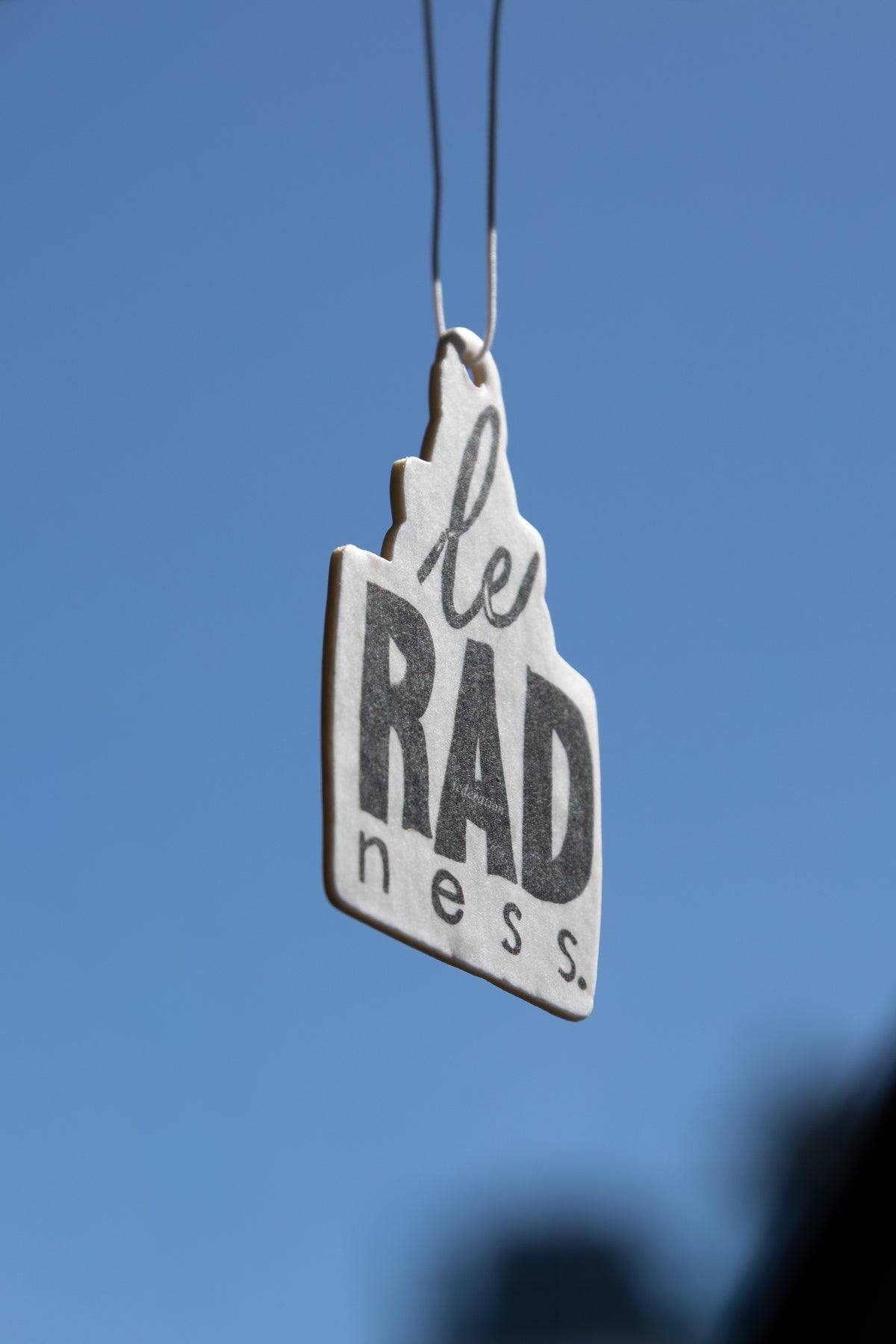 Air Freshener - Le Radness