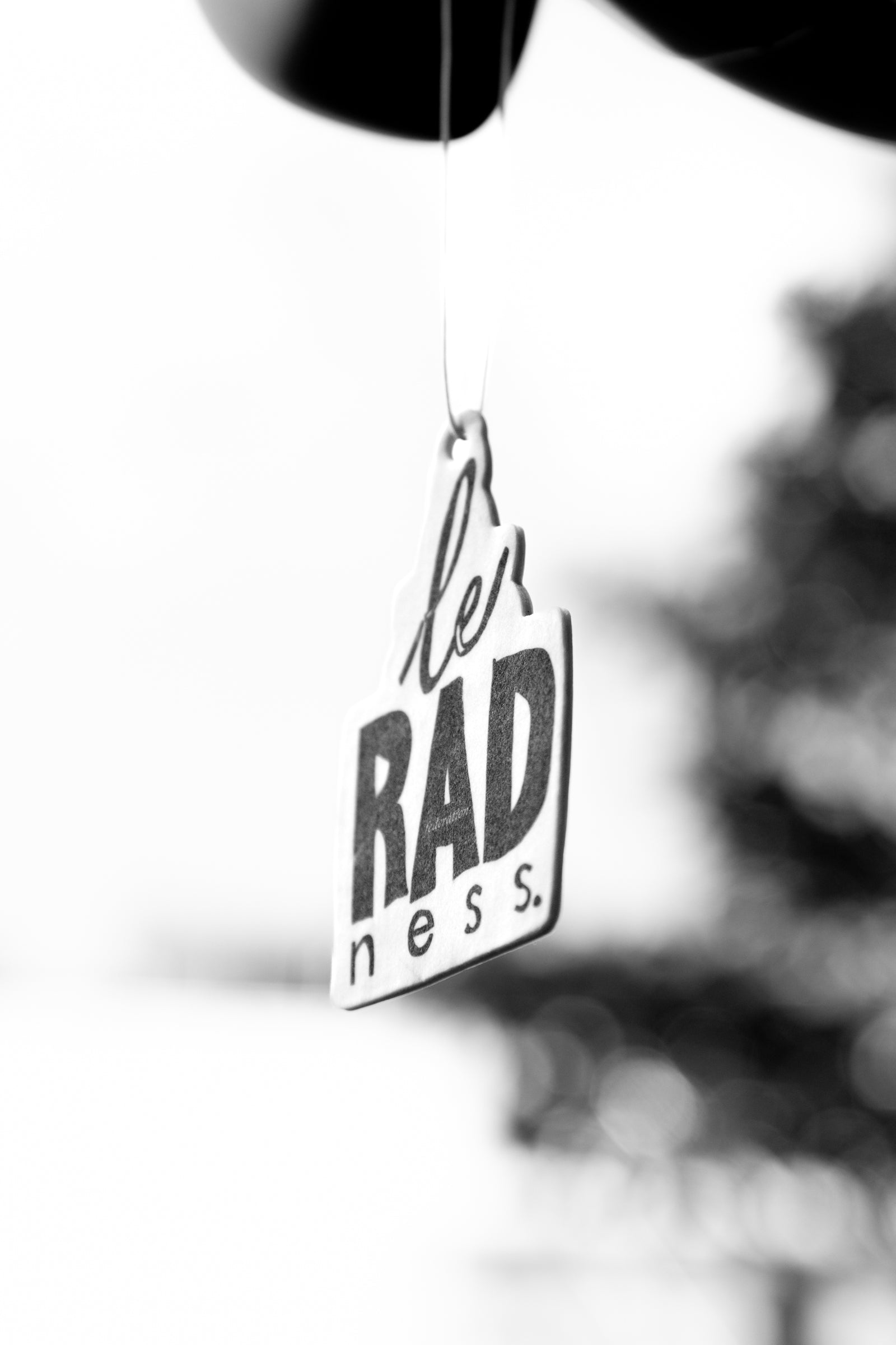 Air Freshener - Le Radness